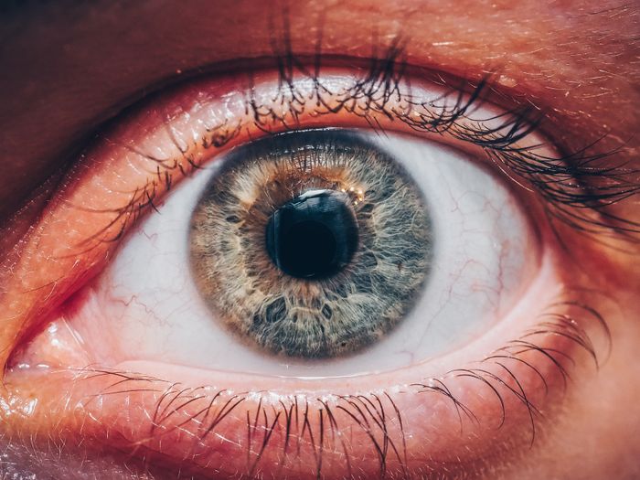 Close-up of human eye — the retina is affected by pathways beyond what AREDS2 addresses
