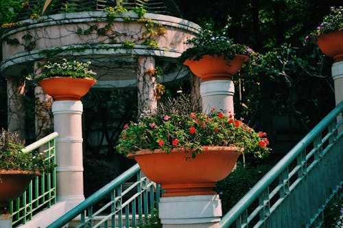 Amazing clay pots with delicate blooming plants and flowers laced on columns near staircase leading to green garden