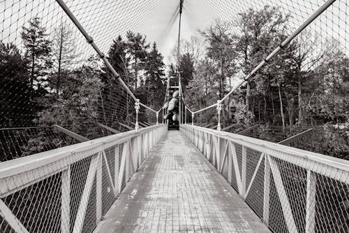 Free Grayscale Photography of Bridge Stock Photo