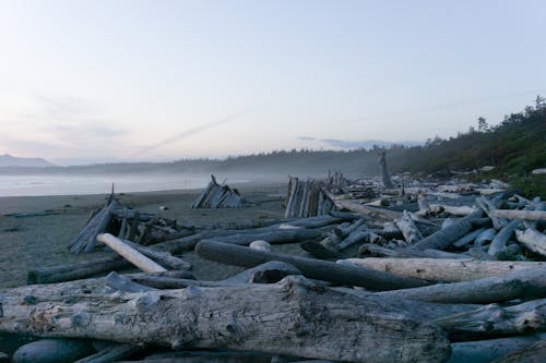 Kostenloses Stock Foto zu abend, friedlich, holzscheite