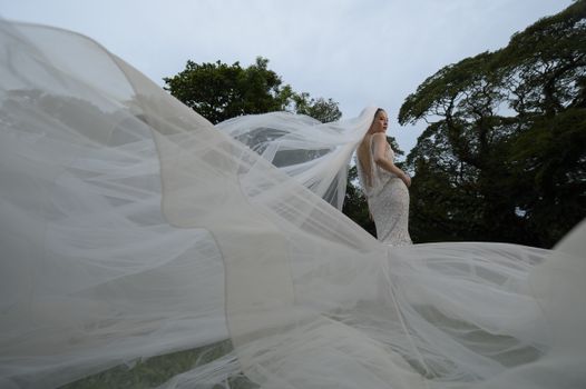 Beautiful bride in a mermaid gown with a long veil posing gracefully outdoors.