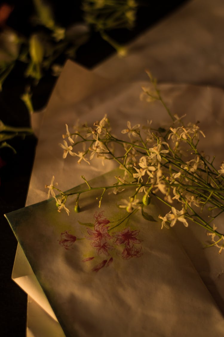 Gentle Romantic Flowers On Paper Sheet