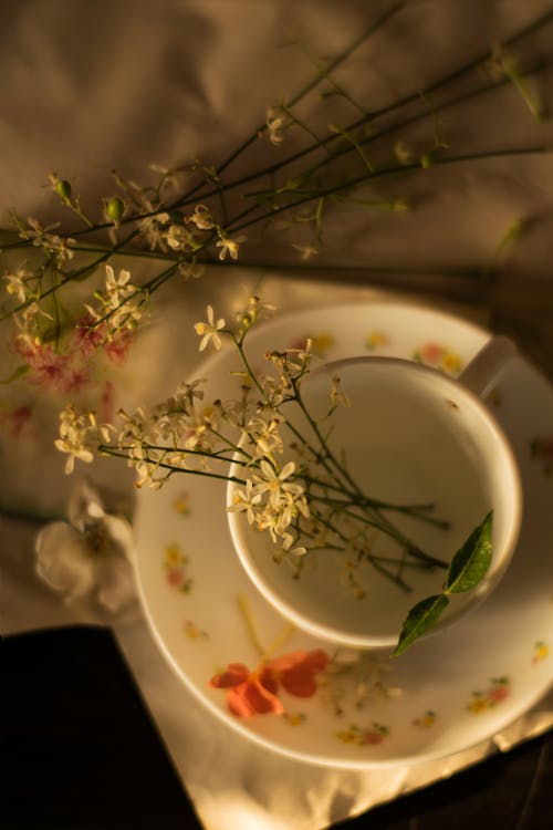 Photo Of Flowers On Cup 