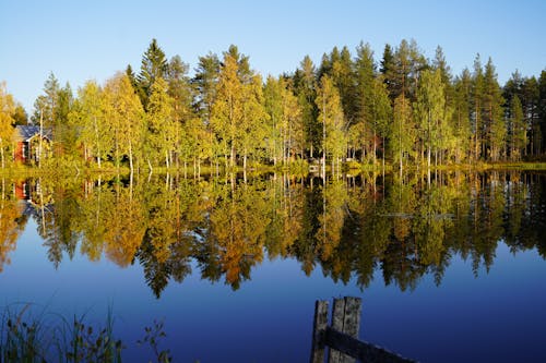 คลังภาพถ่ายฟรี ของ natur, schweden