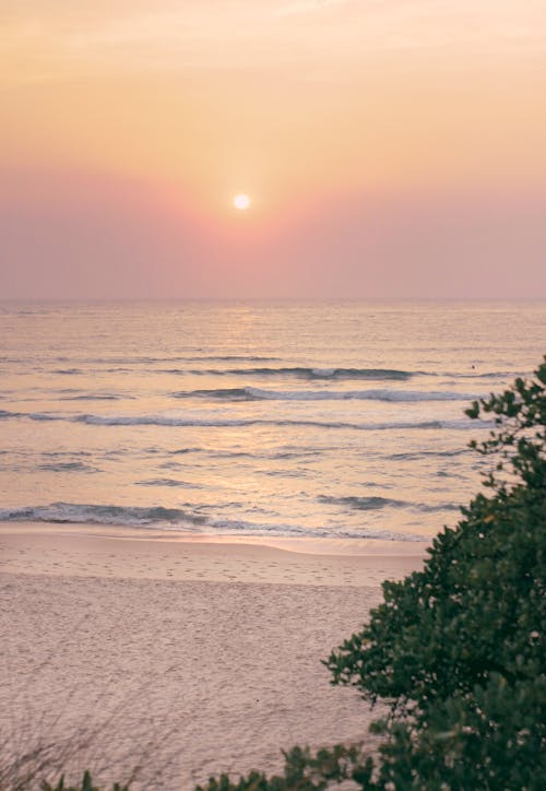 бесплатная Бесплатное стоковое фото с nsw, Австралия, берег моря Стоковое фото
