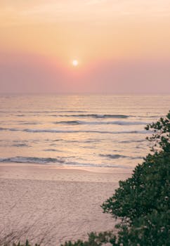 Serene sunrise over Bondi Beach, Australia, with waves and sandy shore in view.