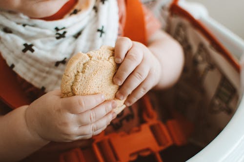 Free Photo Of Toddler Holding Cookie  Stock Photo
