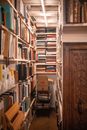 Books on Brown Wooden Shelf