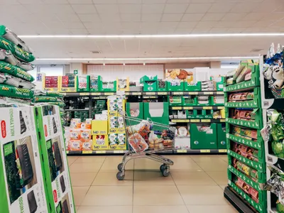 Iceland Foods Loses Trademark Battle: A Win for Geographical Names