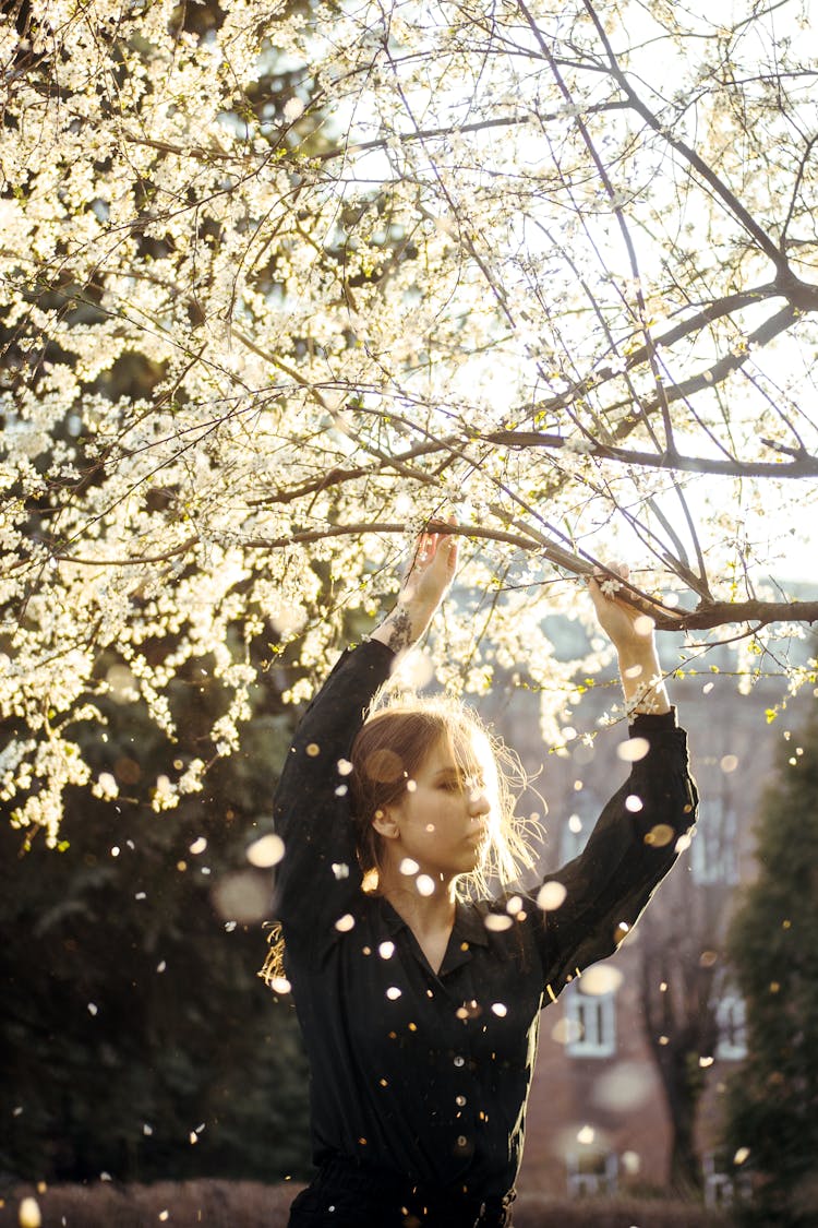 Serious Young Woman Shaking Blossoming Tree In Garden