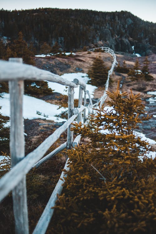 Long wooden fence located on shore of wild lake in rough snowy valley near lush coniferous forest