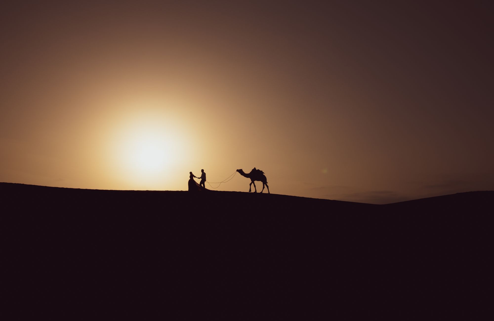 Rajasthan — Colour, culture, and stories carved in stone.