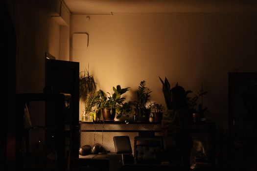 纹身工作室内，阴影与温暖的灯光映照着植物，营造出舒适的氛围