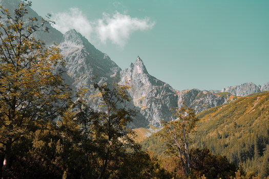 Explore the serene mountain landscape of Zakopane, Poland under a clear sky., free online jigsaw puzzle on JigsawPuzzlesFreeOnline.org