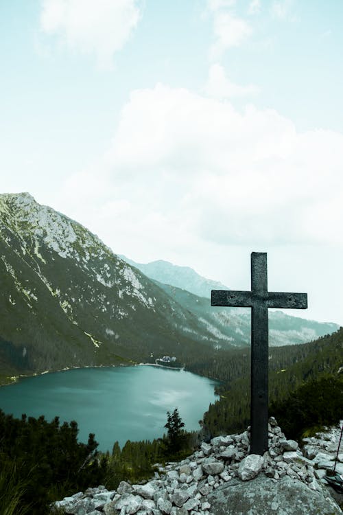 Foto d'estoc gratuïta de a l'aire lliure, Alt Tatra, arbres