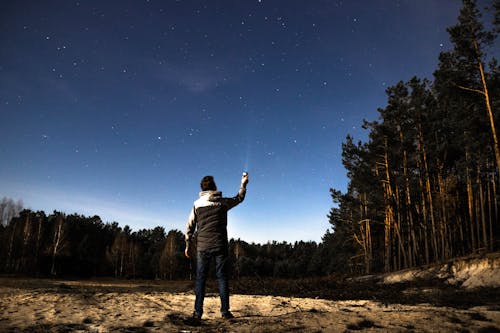 Kostenloses Stock Foto zu blauer himmel, dunklen nacht, mondlicht