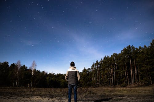 Kostenloses Stock Foto zu blauer himmel, dunklen nacht, mondlicht