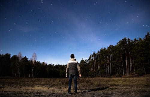 Kostenloses Stock Foto zu blauer himmel, dunklen nacht, mondlicht