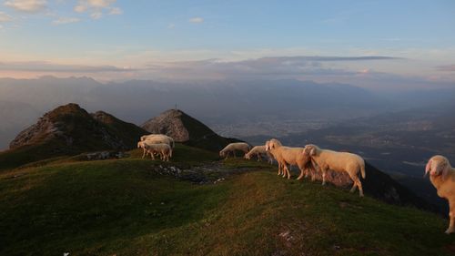 Free stock photo of austria, berge, clouds Stock Photo