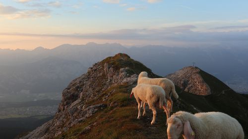 Free stock photo of abendhimmel, abenteurer, ausblick Stock Photo