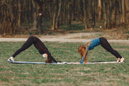 Free Sportive girlfriends standing in Downward Facing Dog pose on mats Stock Photo