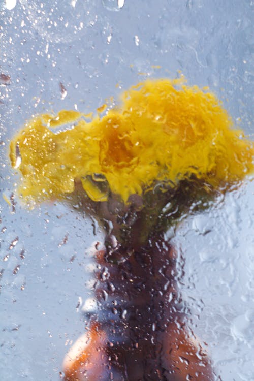Bright yellow flowers in small brown vase through glass with drops on surface