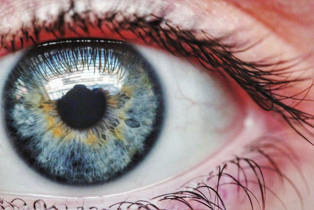 Detalhe de exame ocular