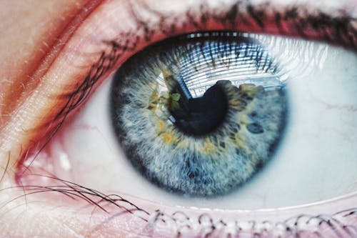 Free Close-Up Photo Of Person's Eye Stock Photo