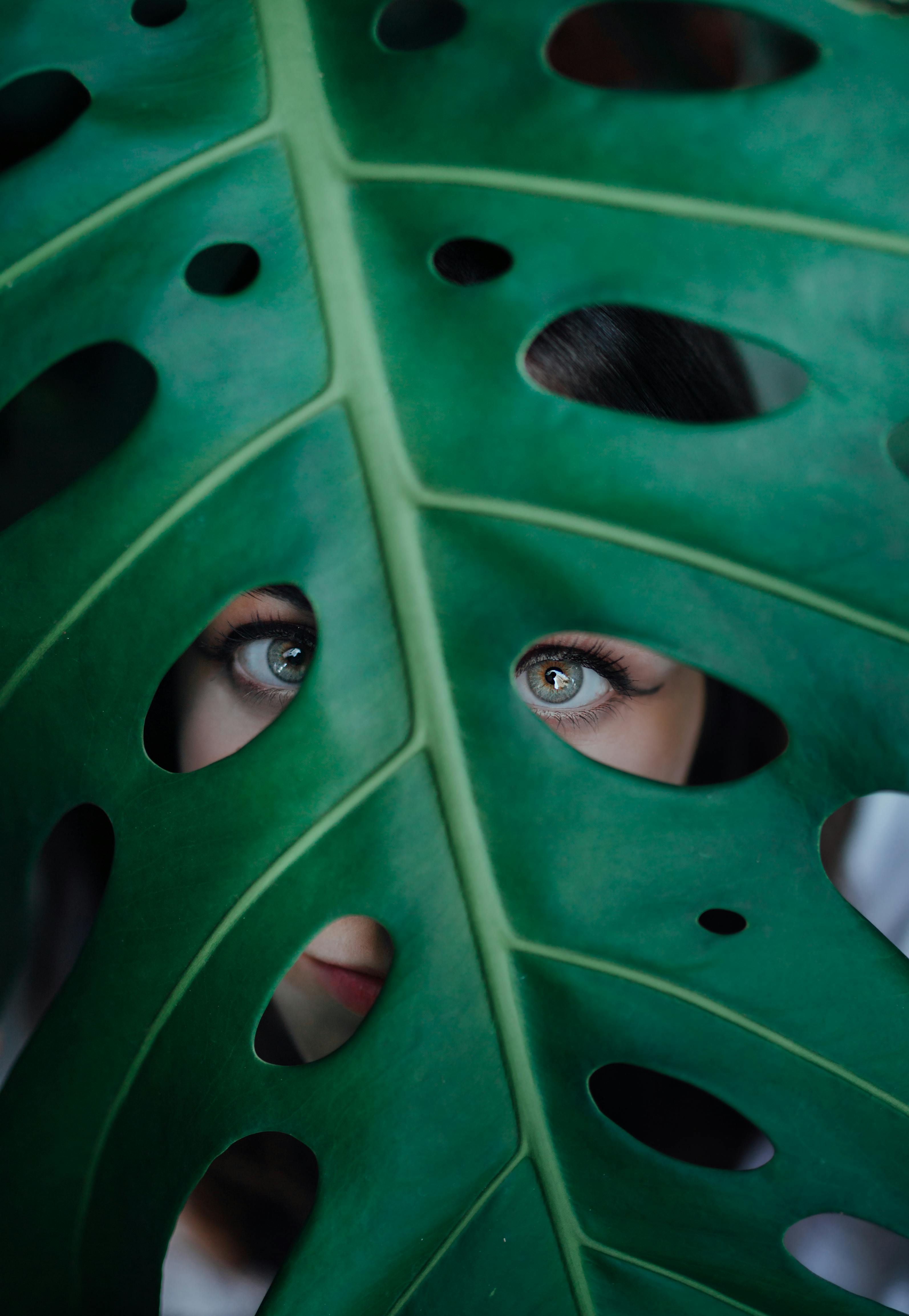 Unrecognizable woman with grey green eyes looking at camera through big green leaf of exotic plant