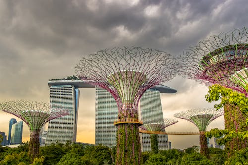 Supertree Grove in Gardens by the Bay Under Gray Clouds in Singapore