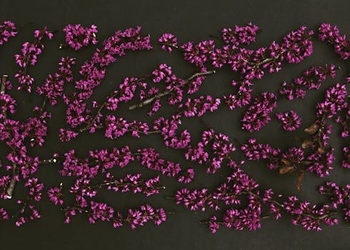 在黑暗背景下艺术排列的紫色花朵，非常适合创意项目