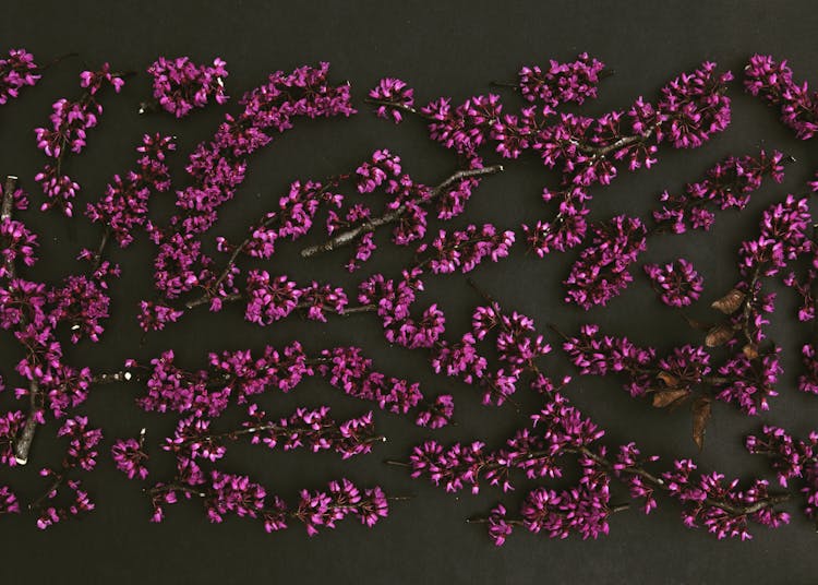 Purple Flowers On Black Surface