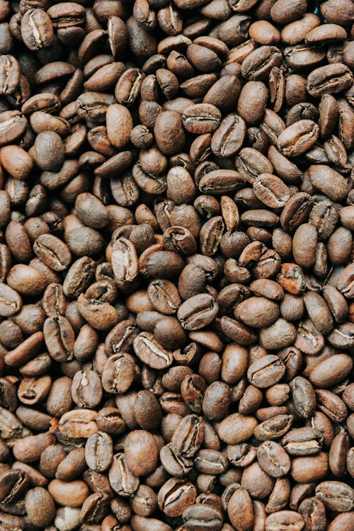 Free Roasted Coffee Beans Stock Photo