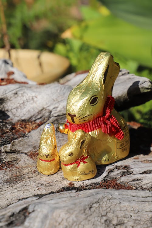 Free Chocolate bunnies in golden packing Stock Photo
