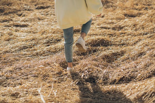 Unrecognizable crop female in casual clothes and sneakers standing in dry field in countryside