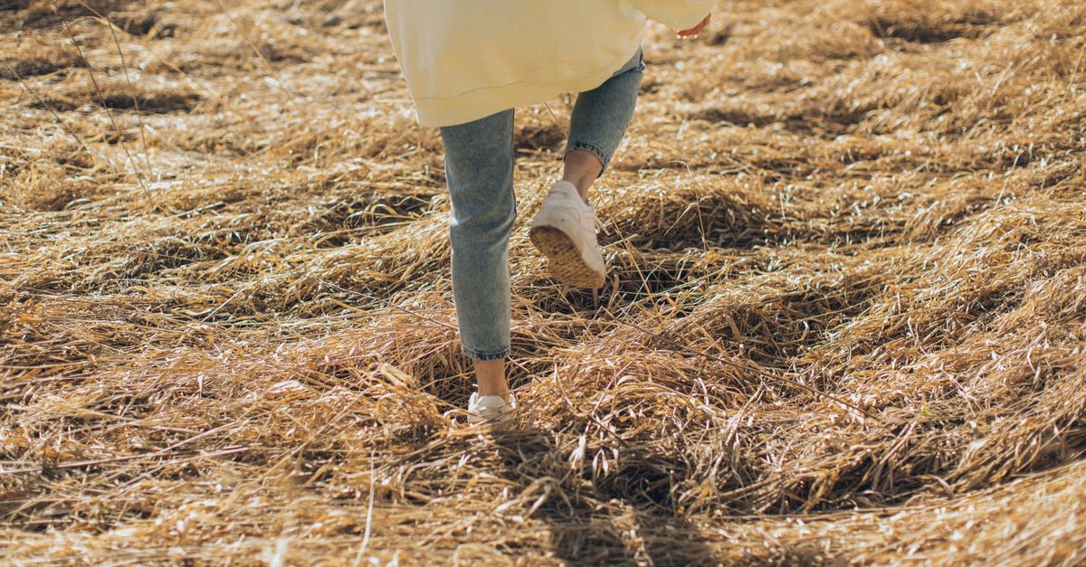 Les 3 phrases que tout narcissique utilise pour vous manipuler