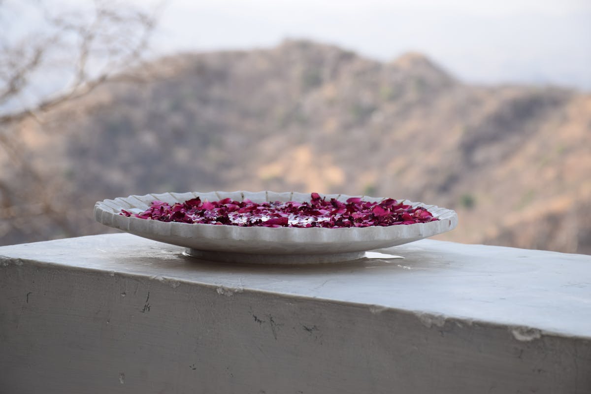 Hipotiroidismo en Perros: Síntomas y Tratamiento