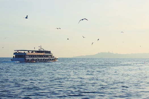 一艘渡轮在宁静的海面上航行，鸟儿在明亮的天空下飞越而过