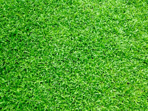Make Your Screen Stand Out with Free Background Images! · Pexels