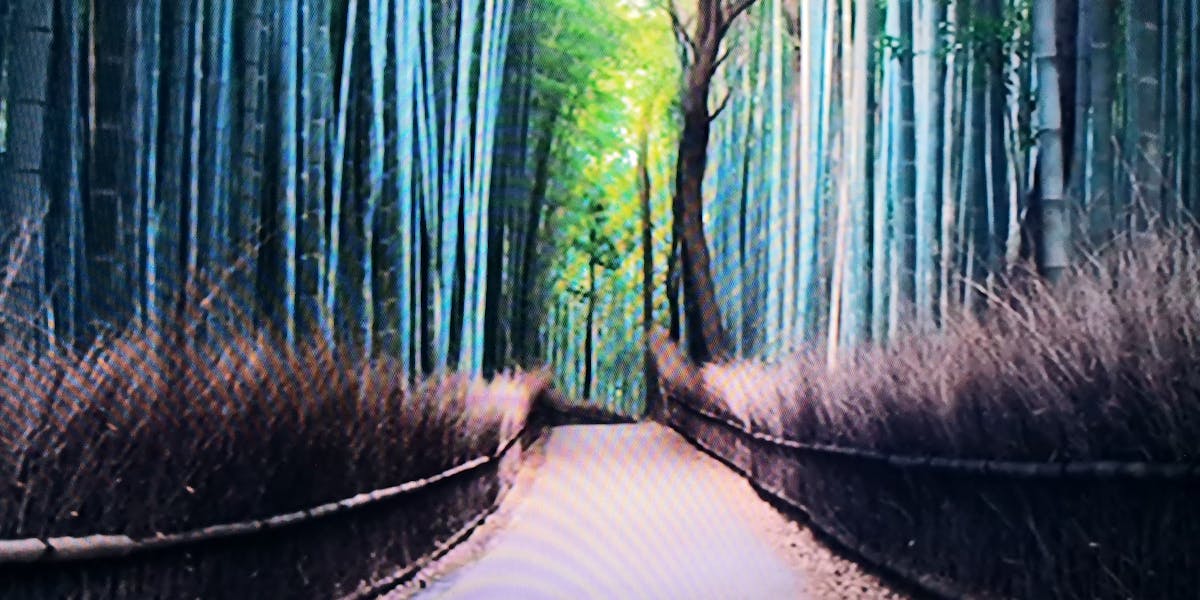 Woman interacting with smartphone while wearing headphones