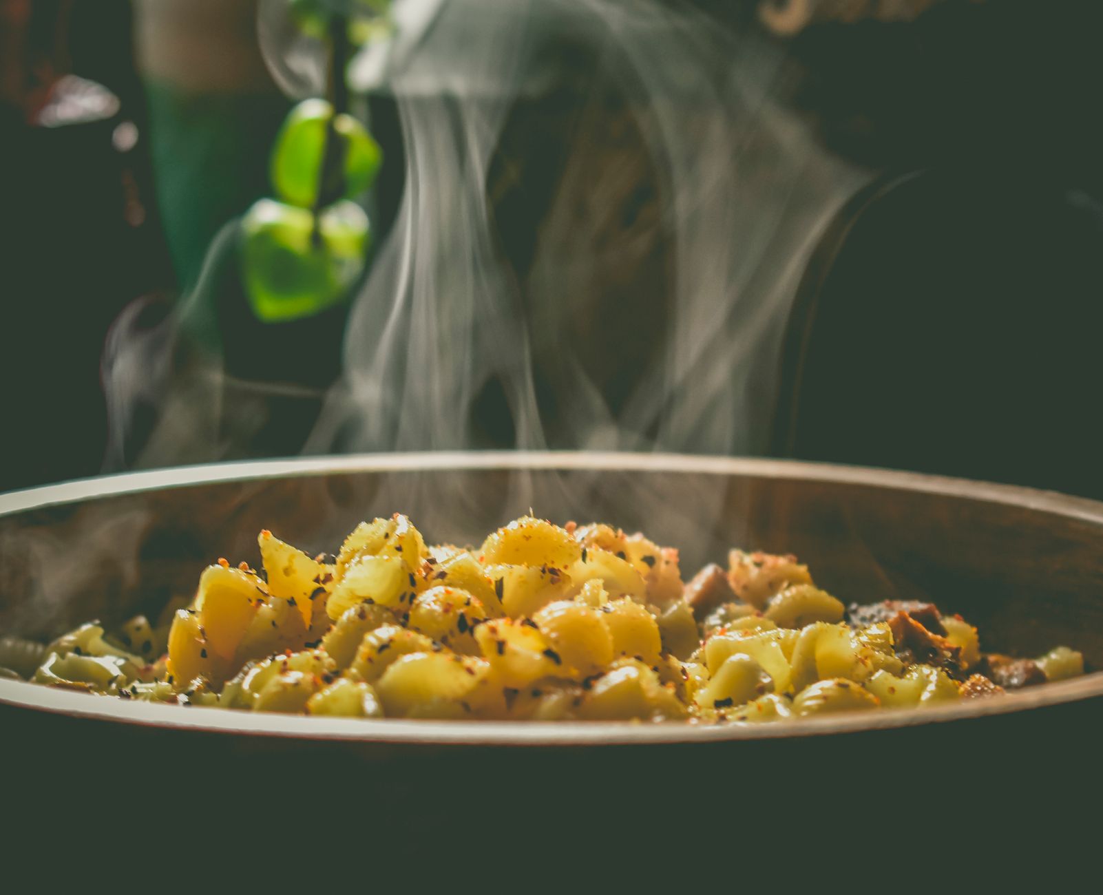Three Cheese Macaroni baking under broiler with golden cheese