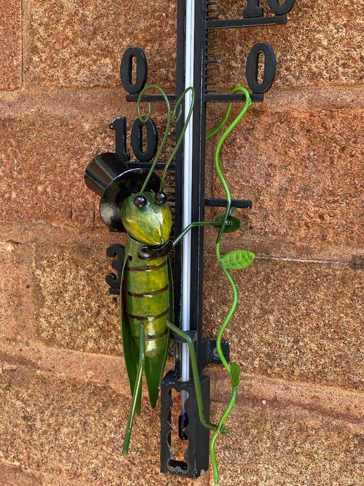 A Grasshopper Toy On A Black Stand