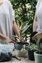 Unrecognizable women standing near potted plant and taking care while preparing for planting in garden together during summer holidays at home