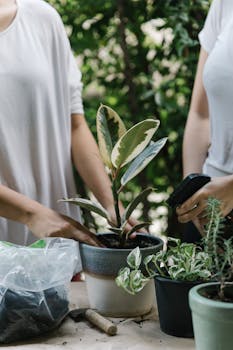 Unrecognizable women standing near potted plant and taking care while preparing for planting in garden together during summer holidays at home with the Quote "What other people may find in poetry or art museums, I find in the flight of a good drive." written on it and have average color value #73776B