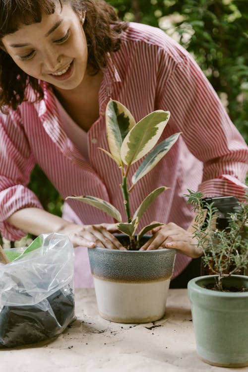 Free Woman Planting Plant in Pot Stock Photo