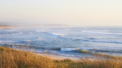 Ocean Waves Crashing on Shore