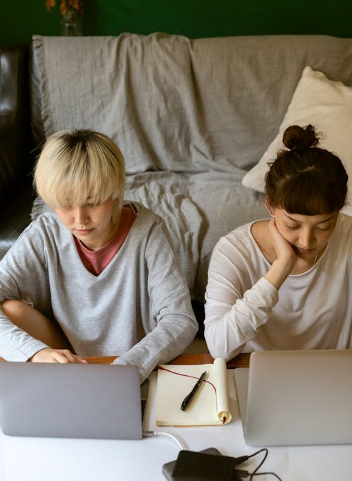 Female friends typing on laptops while studying at home