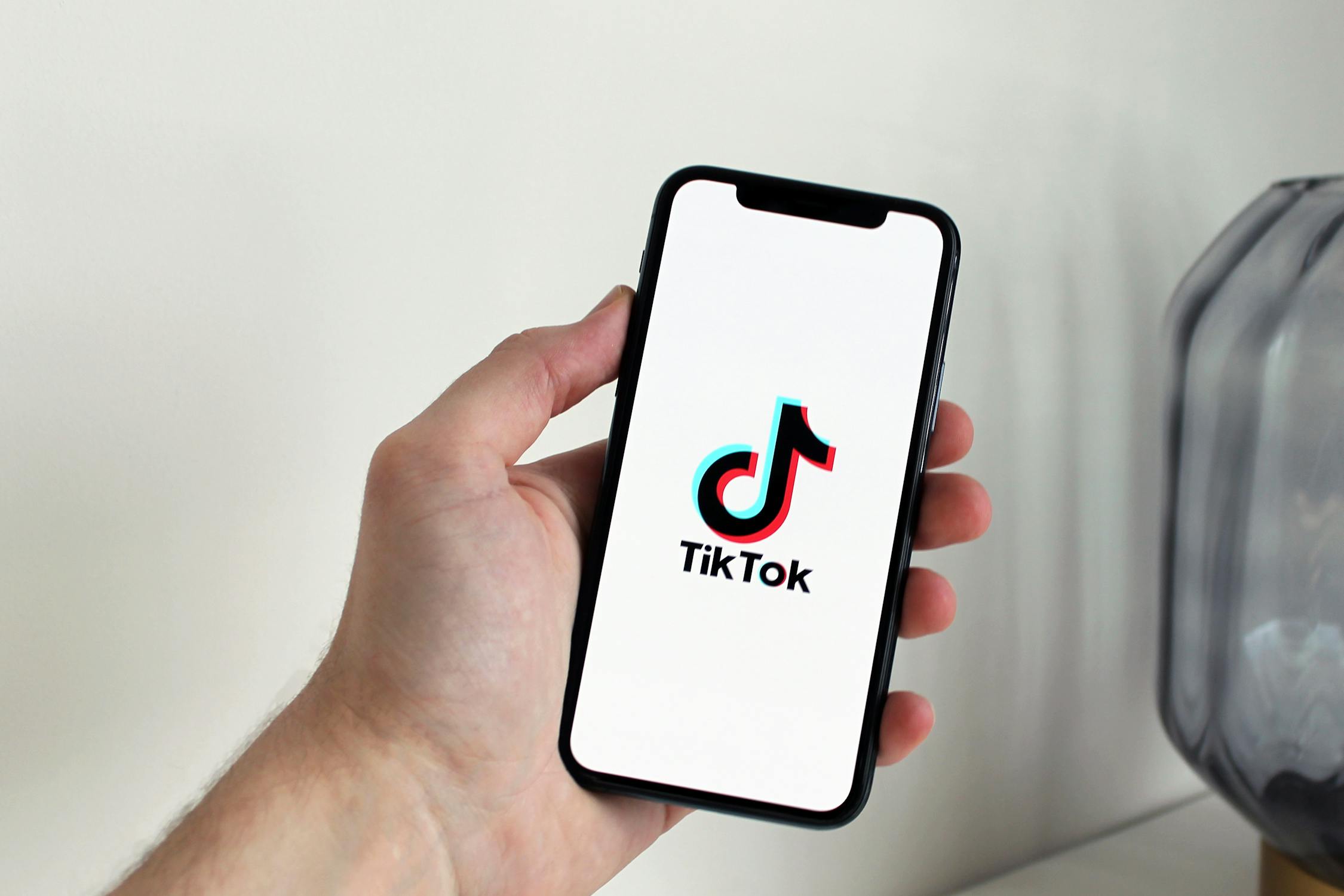 The popular Chinese video app TikTok has been removed from all devices under its control.