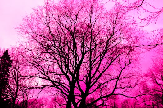 Image result for pink images