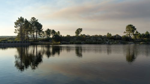 ağaçlar, göl, gün batımı içeren Ücretsiz stok fotoğraf